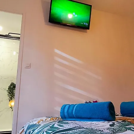 O Belappart - Garage Prive Gratuit Et Terrasse En Centre-ville 公寓