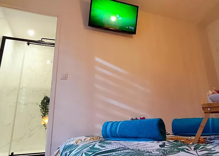 O Belappart - Garage Prive Gratuit Et Terrasse En Centre-ville Apartment